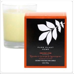 Orange lemongrass coconut soy candle nwt